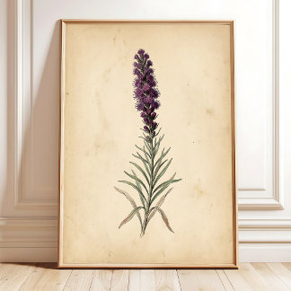 Vintage Blazing Star Bloem Wandschildering Poster