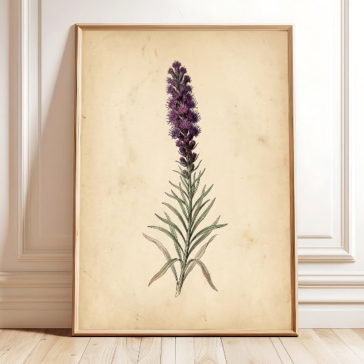 Vintage Blazing Star Bloem Wandschildering Poster