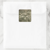 Vintage Bloem Vierkante Sticker (Tas)