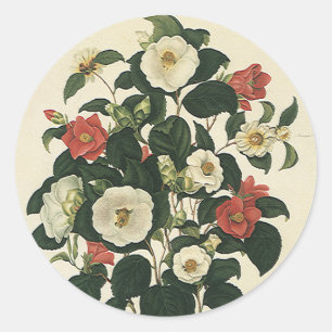 Vintage bloemen, antieke tuinhagedis bloemen ronde sticker