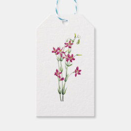 Vintage Bloemen - Centaurium door Mary Vaux Walcot Cadeaulabel