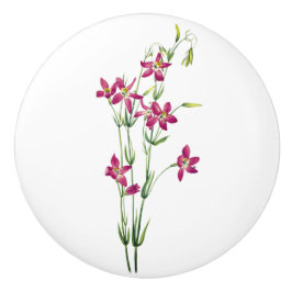 Vintage Bloemen - Centaurium door Mary Vaux Walcot Keramische Knop