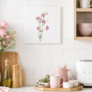 Vintage Bloemen - Centaurium door Mary Vaux Walcot Tegeltje