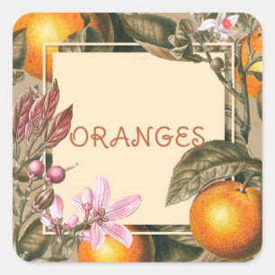 Vintage Bloemen en Sinaasappels Vierkante Sticker