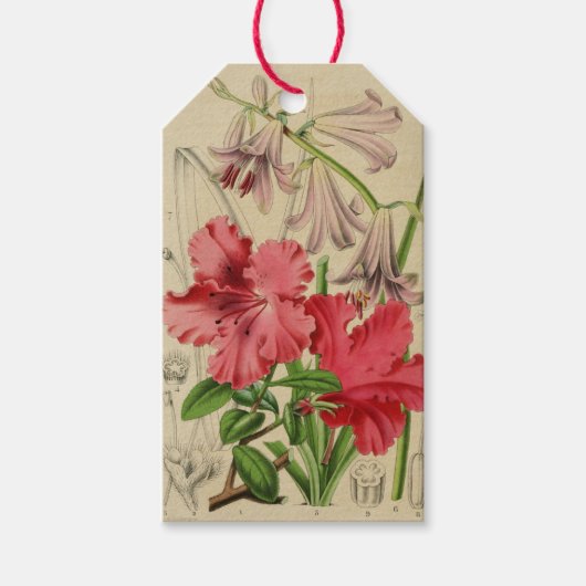 Vintage Bloemen Label Cadeaulabel (Voorkant)