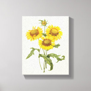 Vintage bloemendekentje bloem zonnebloem door Redo Canvas Afdruk