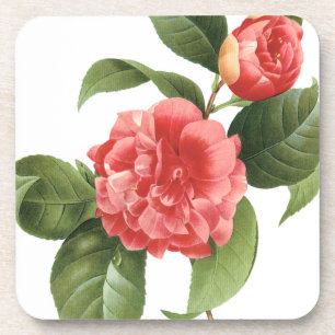 Vintage bloemmotief, Roze Camellia Bloemen door Re Drankjes Onderzetter