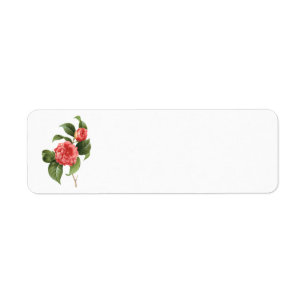 Vintage bloemmotief, Roze Camellia Bloemen door Re Etiket