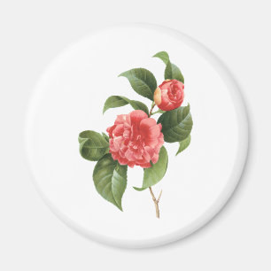 Vintage bloemmotief, Roze Camellia Bloemen door Re Magneet