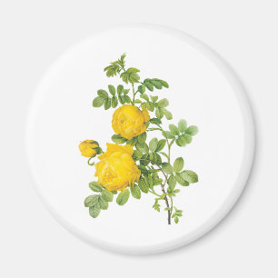 Vintage bloemmotieven, gele rozen van Redoute Magneet
