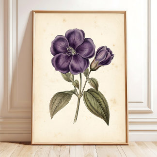 Vintage bloemschilderij botanische wandkunst afdru poster