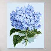 Vintage Blue Hydrangea Poster (Voorkant)
