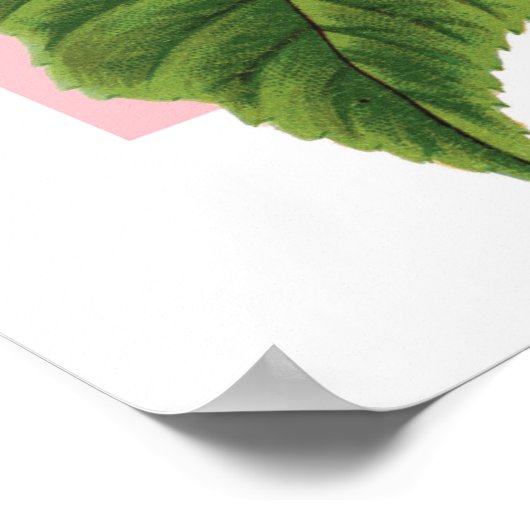 Vintage Blue Hydrangea Poster (Hoek)