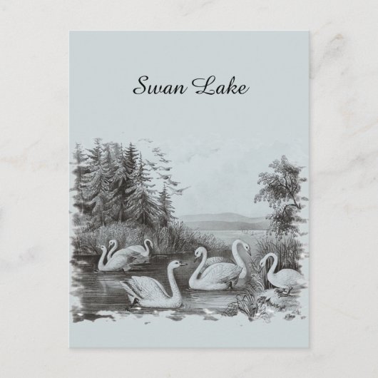 Vintage Blue Swan Lake Briefkaart (Voorkant)