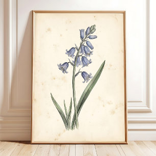 Vintage Bluebell Bloemstuk Canvas Wandkunst Poster
