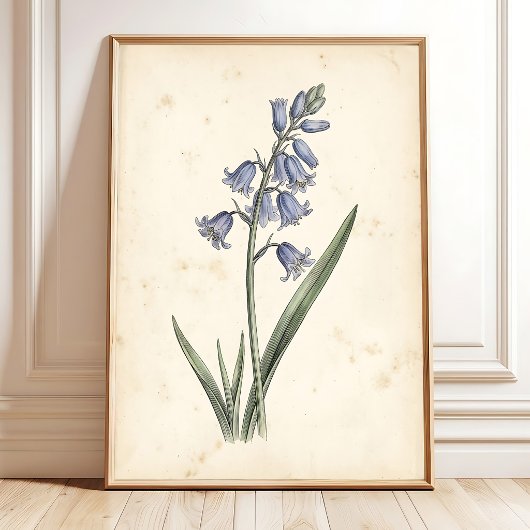 Vintage Bluebell Bloemstuk Canvas Wandkunst Poster