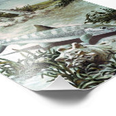 Vintage Bonefish Underwater Scene Foto Afdruk (Hoek)