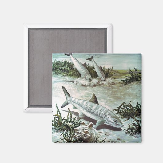 Vintage Bonefish Underwater Scene Magneet (Voorkant / Achterkant)