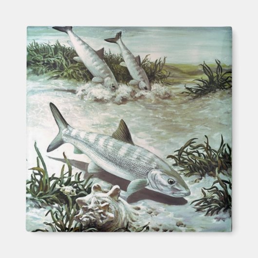 Vintage Bonefish Underwater Scene Magneet (Voorkant)