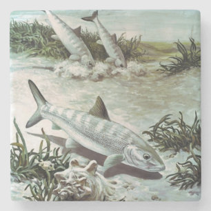 Vintage Bonefish Underwater Scene Stenen Onderzetter