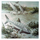 Vintage Bonefish Underwater Scene Tegeltje (Voorkant)