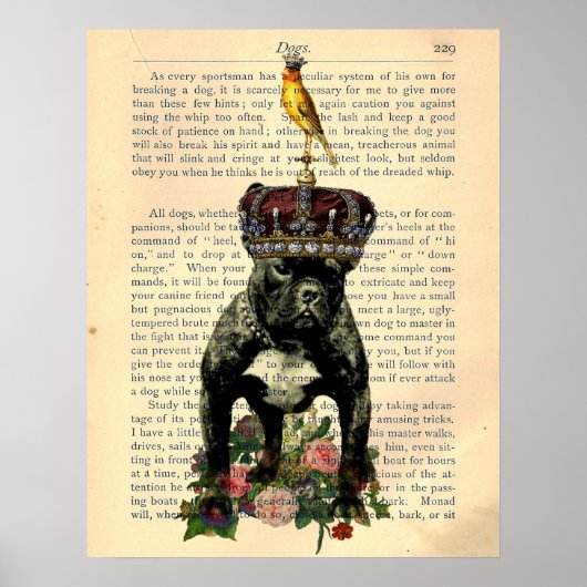 Vintage Book Page Bulldog King Poster (Voorkant)