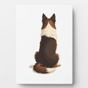 Vintage Border Collie Van achteren Hondenillustrat Fotoplaat