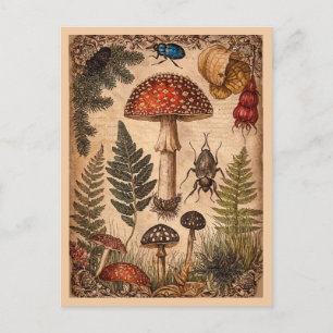 Vintage bos paddestoel varens kevers briefkaart