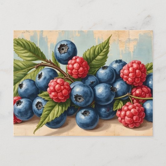 Vintage bosbessen en frambozen  briefkaart (Voorkant)