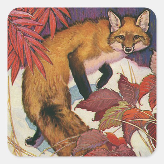 Vintage bosdieren Rode vos Wild dier Vierkante Sticker (Voorkant)