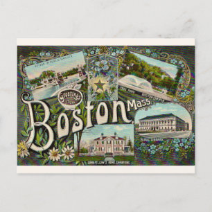 Vintage Boston Frog Pond  Briefkaart