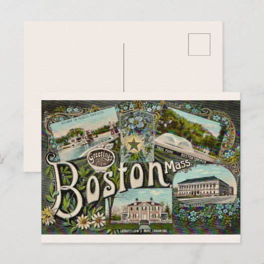 Vintage Boston Frog Pond  Briefkaart (Voorkant / Achterkant)