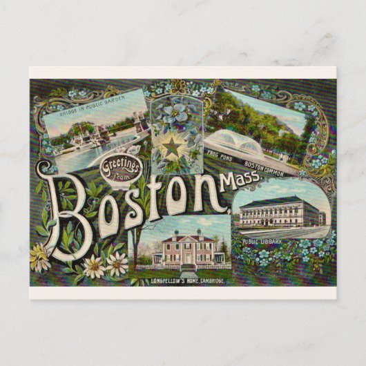 Vintage Boston Frog Pond  Briefkaart (Voorkant)
