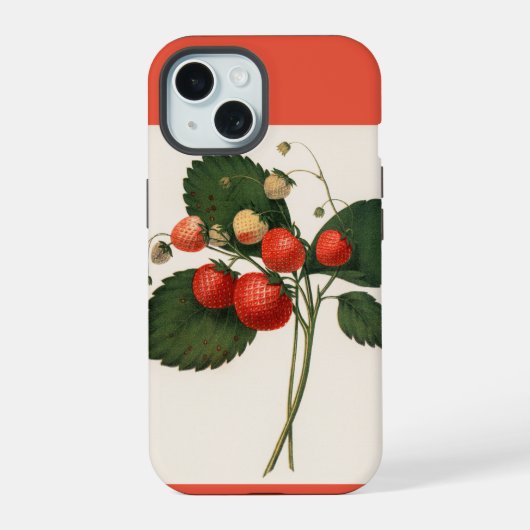 Vintage Boston Pine Aardbei Illustratie iPhone 15 Case (Achterkant)