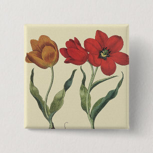 Vintage Botanica, Bloeiende Tulpbloemen en Bollen Vierkante Button 5,1 Cm
