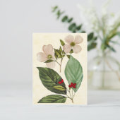 Vintage Botanical Dogwood Tree Illustration Briefkaart (Staand voorkant)