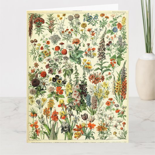 Vintage Botanical Fleurs Poster Postcard Bedankkaart (Voorkant)