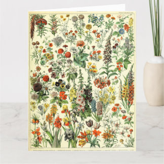 Vintage Botanical Fleurs Poster Postcard Bedankkaart