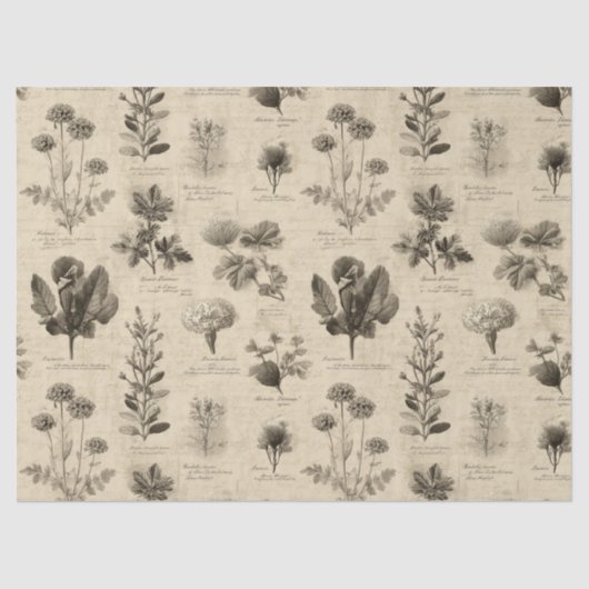 Vintage Botanical Floral Pattern (11) Tissuepapier (Voorkant)