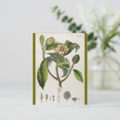 Vintage Botanical Flower Illustration Briefkaart (Staand voorkant)