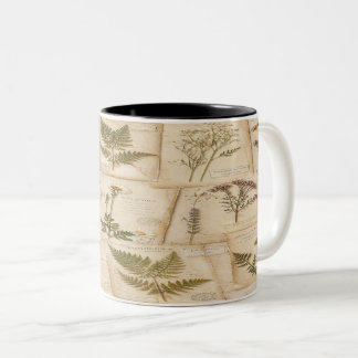 Vintage Botanical Herbarium Pattern Tweekleurige Koffiemok