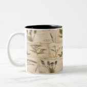 Vintage Botanical Herbarium Pattern Tweekleurige Koffiemok (Links)