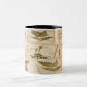 Vintage Botanical Herbarium Pattern Tweekleurige Koffiemok (Center)