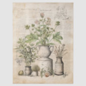Vintage botanical herbs rustic parchment farmhouse tissuepapier (Voorkant)