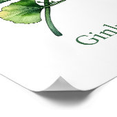 Vintage Botanical Illustration Ginkgo Poster (Hoek)