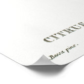 Vintage Botanical Illustration Poster (Hoek)