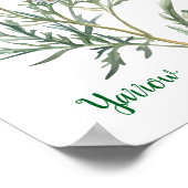 Vintage Botanical Illustration Yarrow Poster (Hoek)