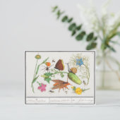 Vintage botanisch briefkaart met vlinder en snai (Staand voorkant)