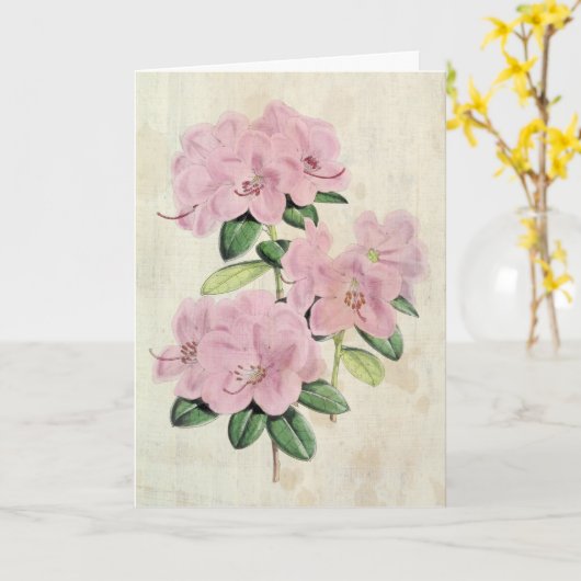 Vintage Botanisch oeroud Rhododendron Kaart (Gele Bloem)