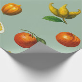 Vintage botanisch verpakkingspapier van citrusvruc cadeaupapier (Hoek)